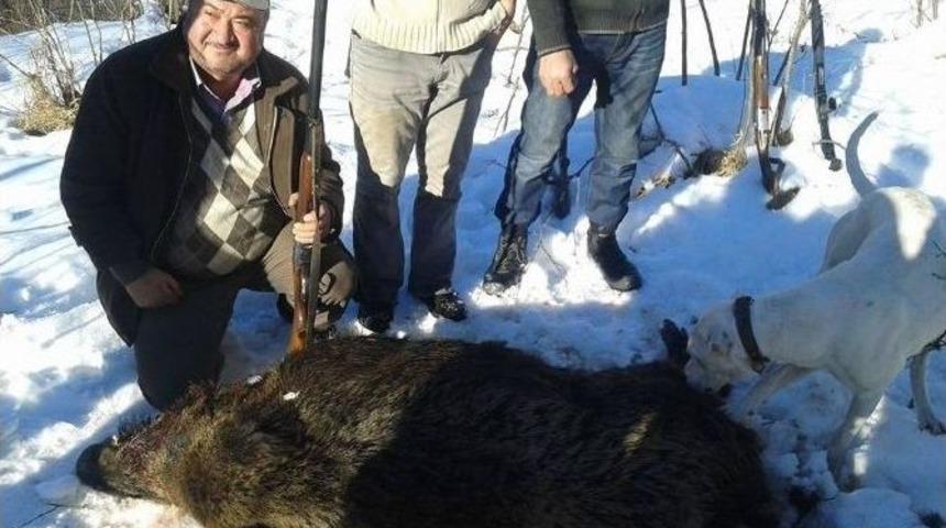 Avcılar 200 Kiloluk Domuz Avladı