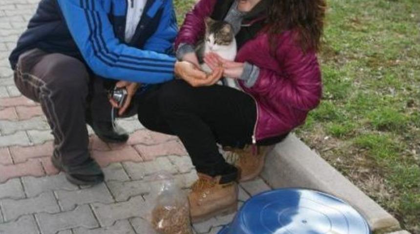 Har&ccedil;lıklarıyla Sokak Hayvanlarını Beslediler