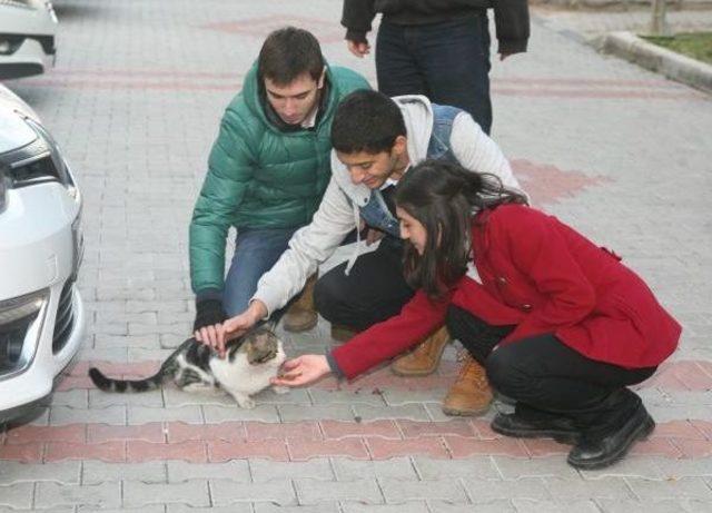 Harçlıklarıyla Sokak Hayvanlarını Beslediler 2