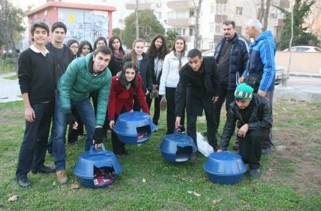 Harçlıklarıyla Sokak Hayvanlarını Beslediler 3