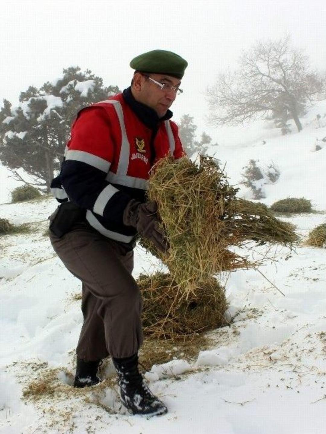 (&ouml;zel Haber) Yaban Hayvanları Kış Şartlarında Onlar Sayesinde A&ccedil; Kalmıyor