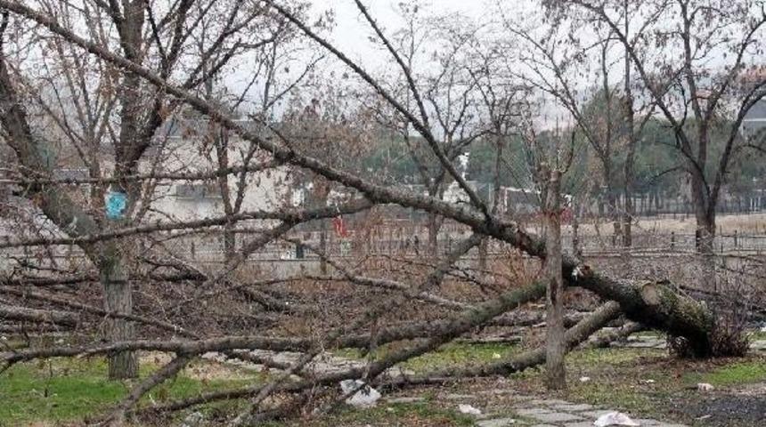 Parkta Akaryakıt Istasyonu Iptali, Bilirkişi Bekliyor