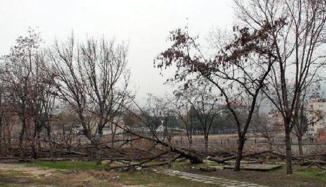 Parkta Akaryakıt Istasyonu Iptali, Bilirkişi Bekliyor