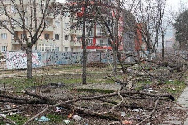 Parkta Akaryakıt Istasyonu Iptali, Bilirkişi Bekliyor