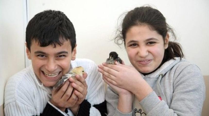 K&uuml;&ccedil;&uuml;k Mucitlerden Kulu&ccedil;ka Makinesi