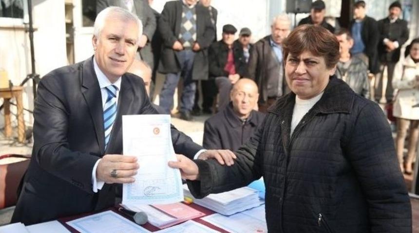 Nil&uuml;fer&rsquo;de Tapu Sevinci