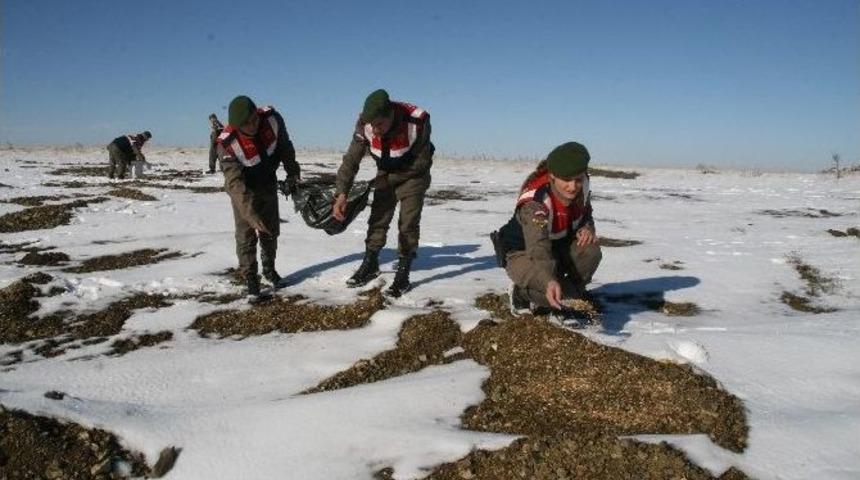 Yozgat&rsquo;ta Jandarma Yaban Hayvanları İ&ccedil;in Doğaya Yem Bıraktı