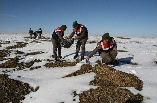Yozgat&rsquo;ta Jandarma Yaban Hayvanları İ&ccedil;in Doğaya Yem Bıraktı 3