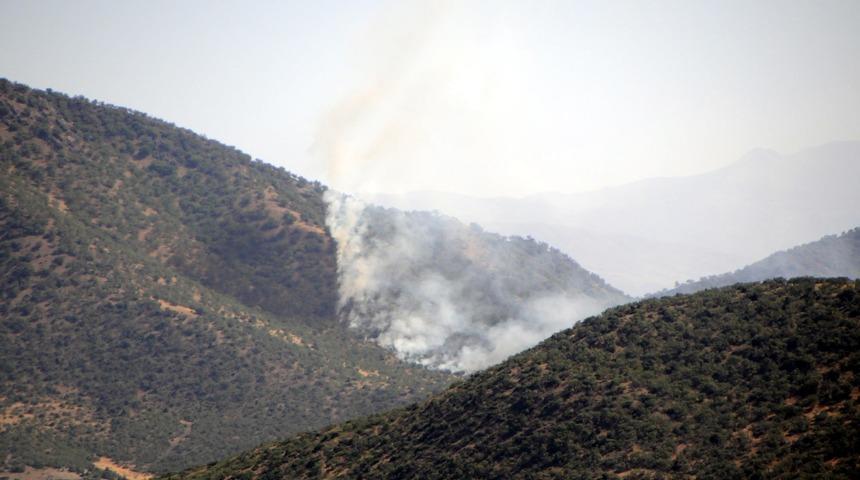 Tunceli'de orman yangını