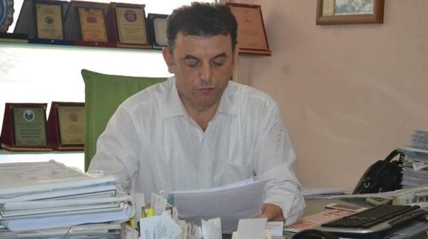 Ormanın Ortasında &Ccedil;&ouml;p Depolama Sahası