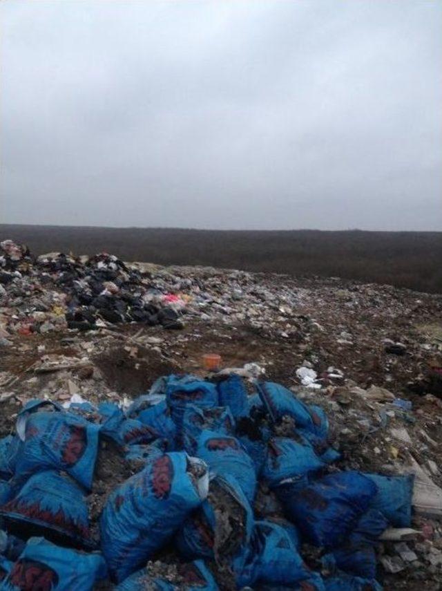 Ormanın Ortasında &Ccedil;&ouml;p Depolama Sahası 1