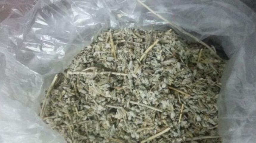 İhtiya&ccedil; Molasında Yakalandı