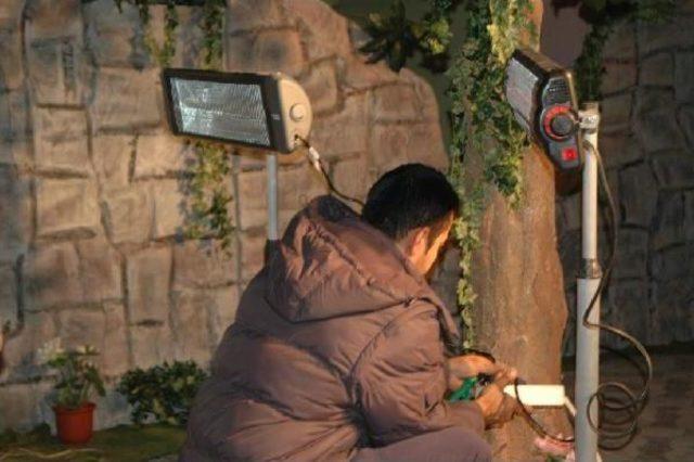 Seyirci Salonu Doldurdu Ama Oyun Iptal Oldu 2