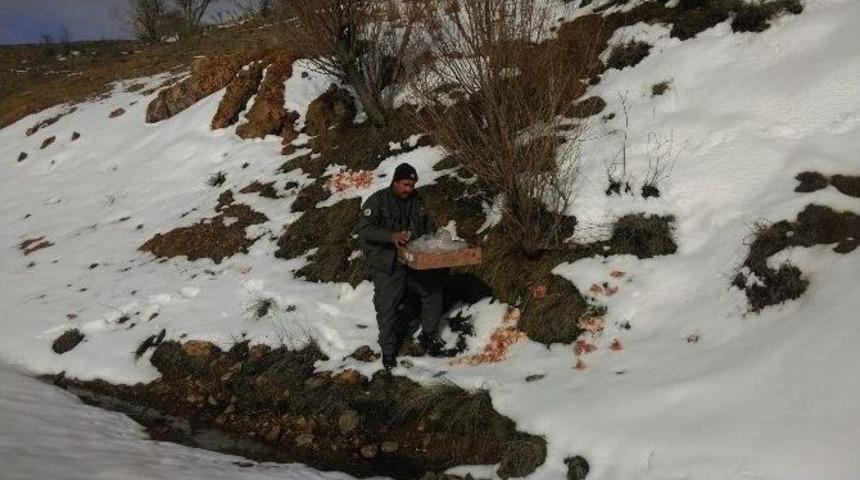 Kırıkkale&rsquo;de Yabani Hayvanlar İ&ccedil;in Doğaya Yem Bırakıldı
