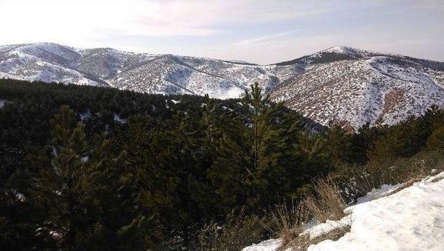 Kırıkkale’de Yabani Hayvanlar İçin Doğaya Yem Bırakıldı