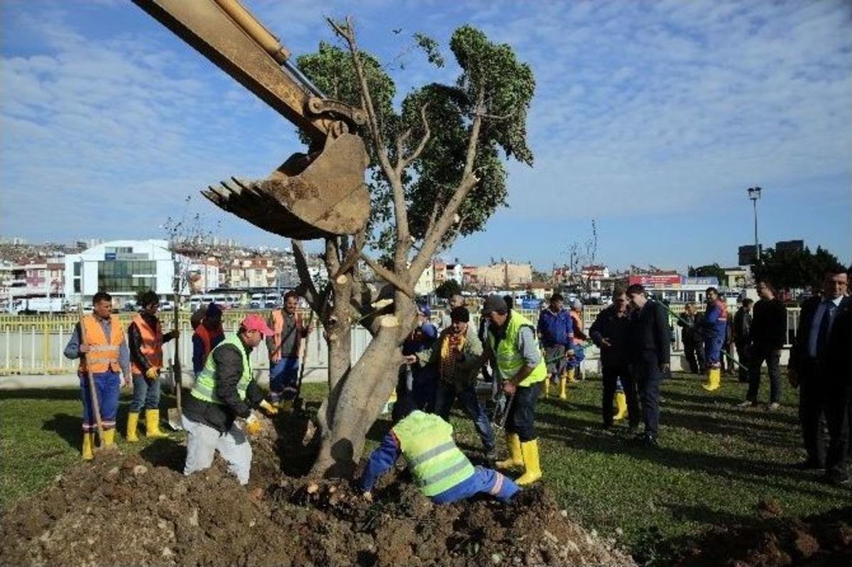 Başkanın &Ccedil;evre Duyarlılığı