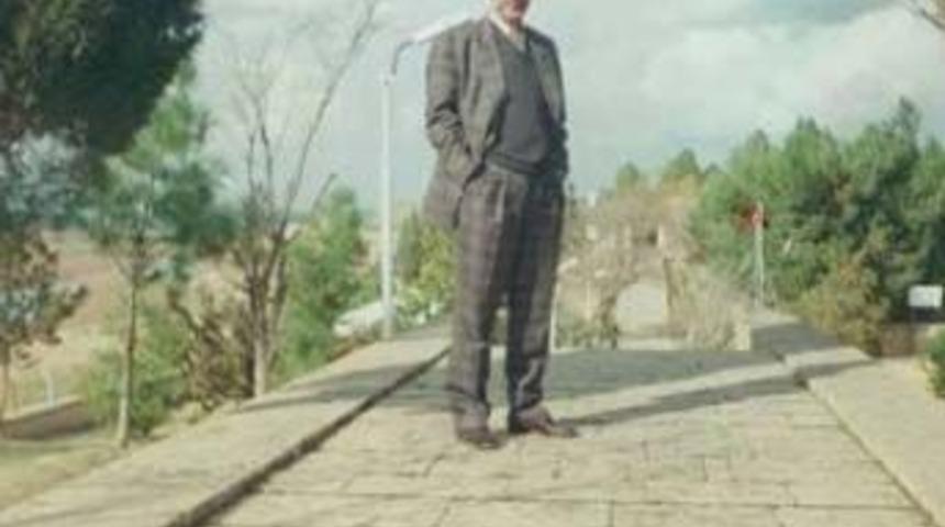 Yeşil ne yaşar ne yaşamaz