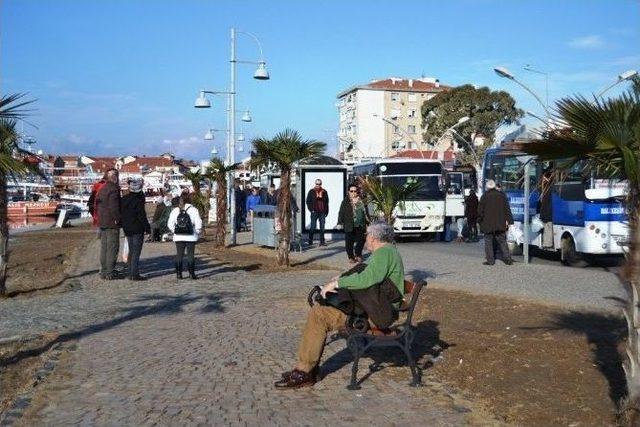 Ayvalıkta Kış Ortasında İlkbahar Havası 1