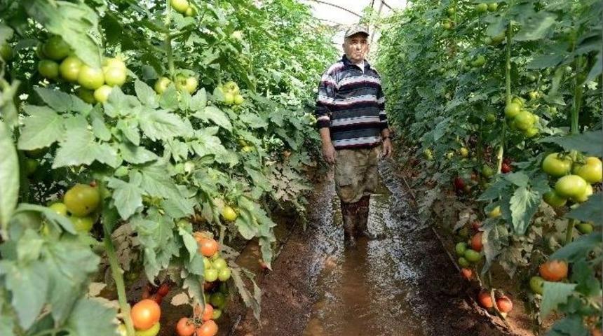 &Ccedil;ift&ccedil;i Yaralarını Sarmaya &Ccedil;alışıyor