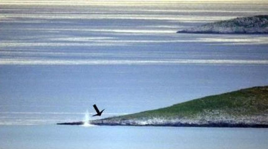 Kardak Kayalıkları Kıyısında Yunan Balık&ccedil;ılar Patlayıcı Kullandı