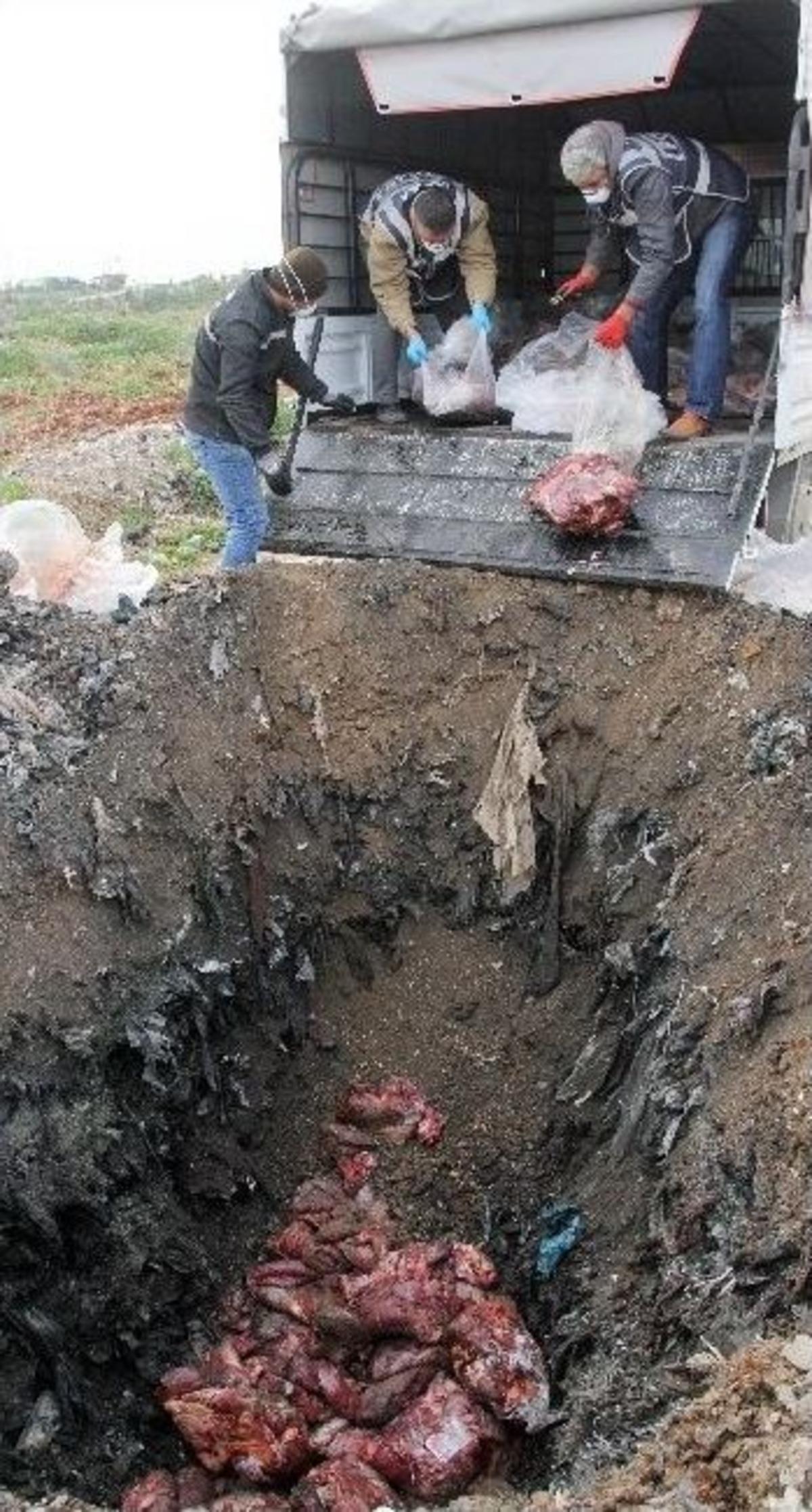 (&ouml;zel Haber) Adana&rsquo;da 1 Ton Ka&ccedil;ak Bozuk Et İmha Edildi