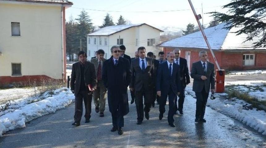 Lalahan&rsquo;a Hayvancılık &Uuml;ss&uuml;