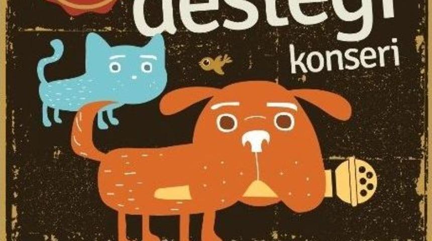 Konsere Giriş Kedi Ve K&ouml;pek Mamasıyla