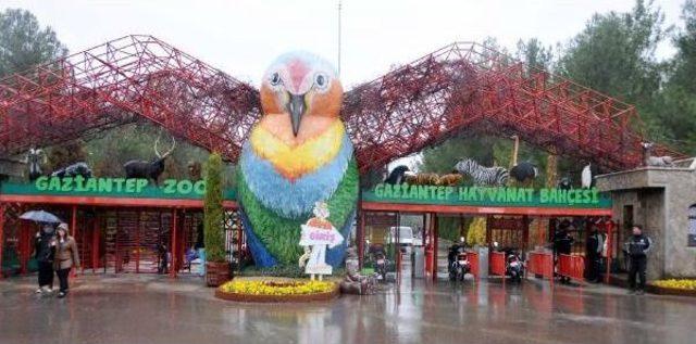 Gaziantep e  safari Park  Kuruluyor 1