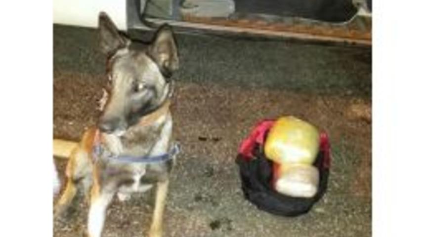 Yolcu Otob&uuml;s&uuml;yle Esrar Sevkıyatına Tutuklama