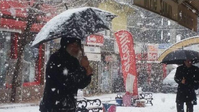 İdil’de Kar Yağışı Hayatı Olumsuz Etkiledi