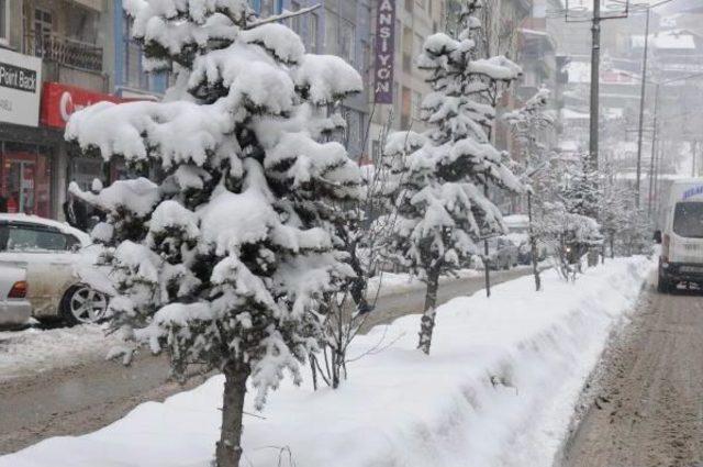 Hakkari Ve Bitlis'te Kar Yağışı