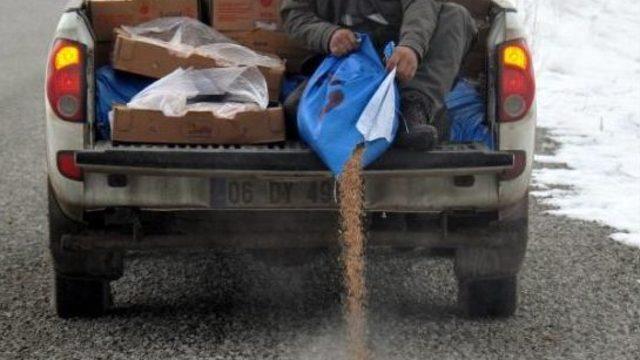 Kırıkkale'de Yaban Hayvanları Için Doğaya Yem Bırakıldı