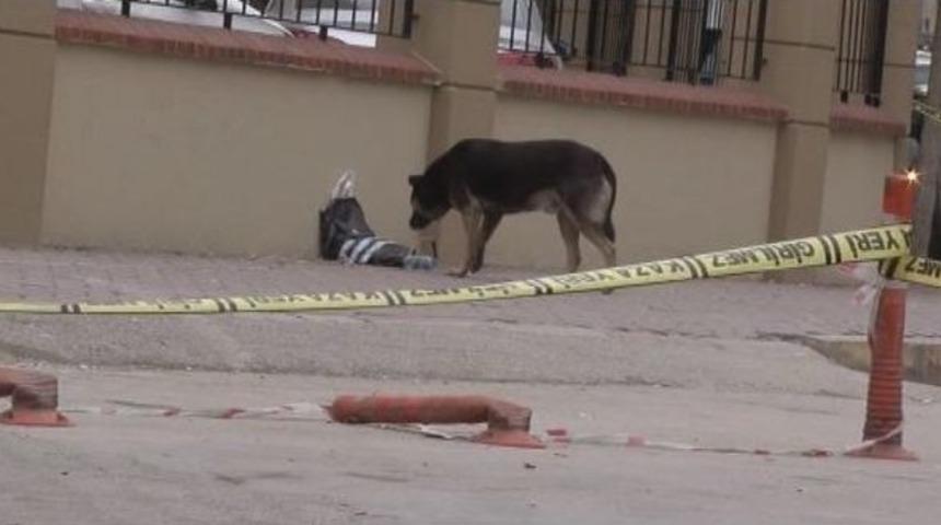 Ş&uuml;pheli Poşet İmhasına K&ouml;pek Molası