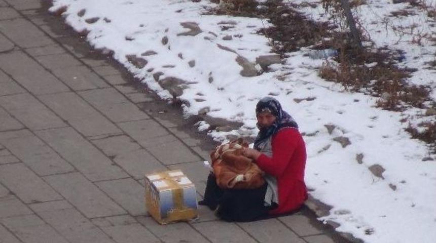 &Ccedil;ocuklu Kadın Dilenciler Bıktırdı