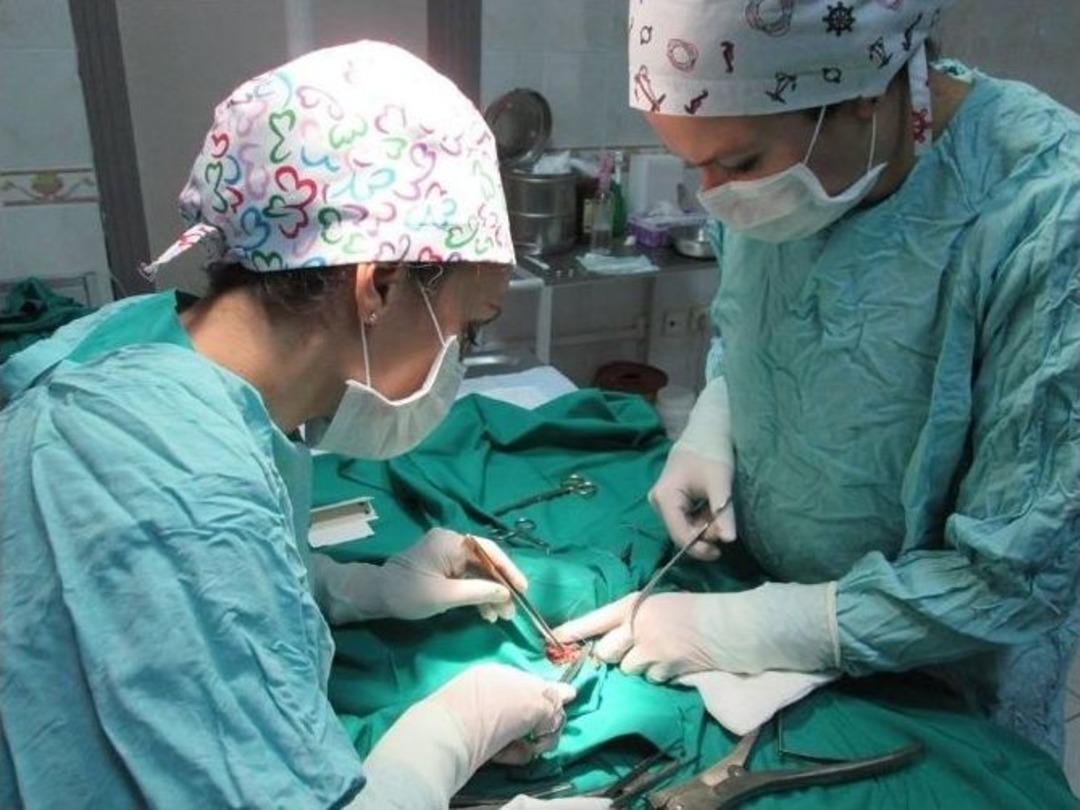 Maganda Kurbanı Kargaya Ameliyat