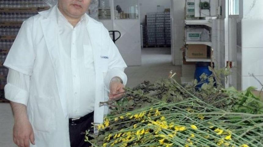 Ege Lokmanı&rsquo;ndan Şeker Hastalığına Altı Ayda Bitkisel &Ccedil;&ouml;z&uuml;m