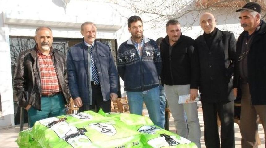 Mavi Kapaklar Sokak Hayvanları İ&ccedil;in Mamaya D&ouml;n&uuml;şt&uuml;