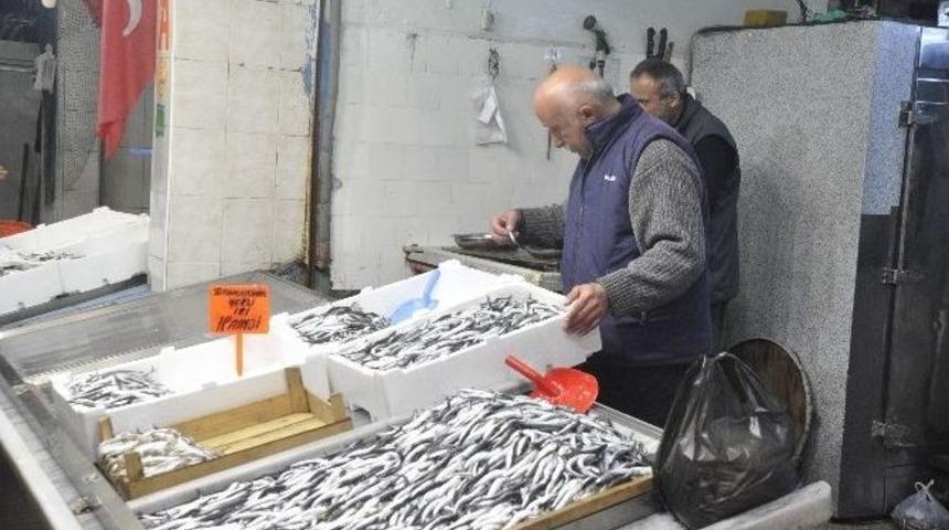 Fiyatı D&uuml;şen Hamsiye Rağbet Arttı