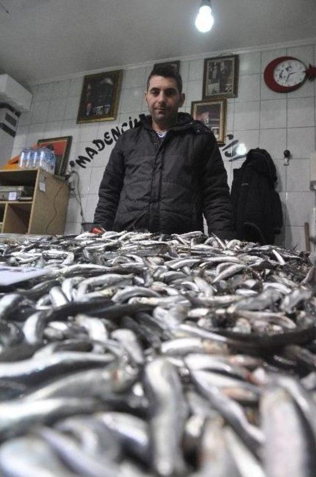 Fiyatı Düşen Hamsiye Rağbet Arttı