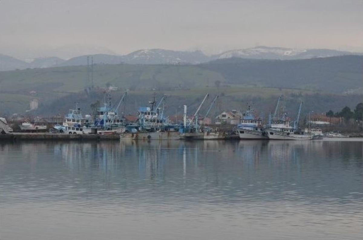 &Ccedil;a&ccedil;a - Hamsi Meselesi Mahkemelik Oldu