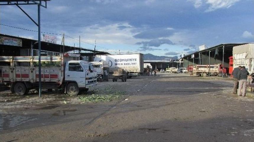 Sebze Ve Meyveleri Soğuk Vurdu Acarlar Hali Sessizliğe B&uuml;r&uuml;nd&uuml;