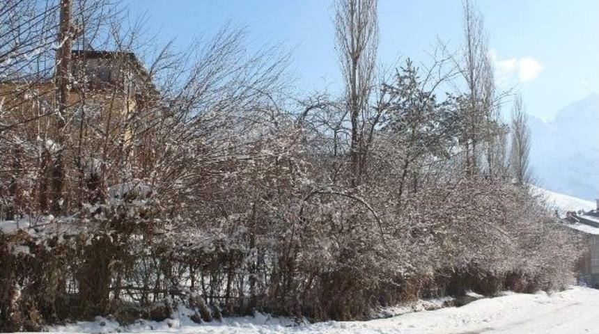 Hakkari&rsquo;de Soğuk Hava Ve Don