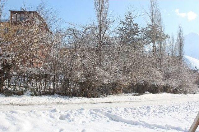 Hakkari’de Soğuk Hava Ve Don