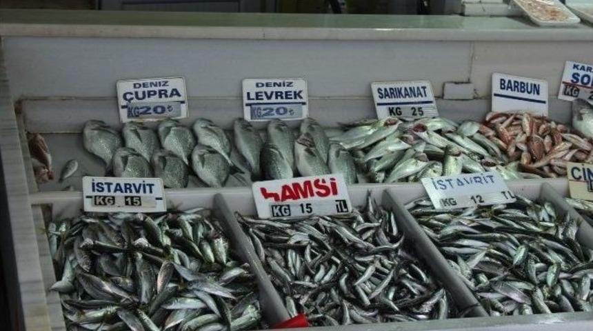 (&ouml;zel Haber) Tekirdağ&rsquo;da Havanın Isınması Balık Fiyatlarını D&uuml;ş&uuml;rd&uuml;