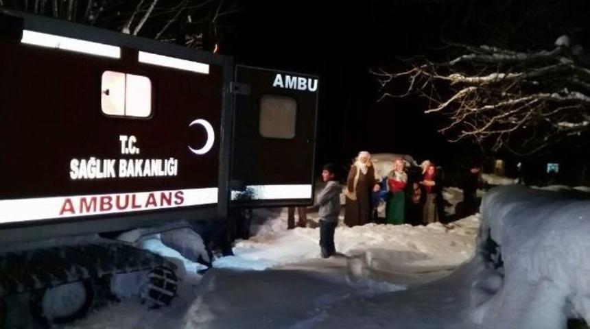 Tek Bedende İki Can Kurtardılar