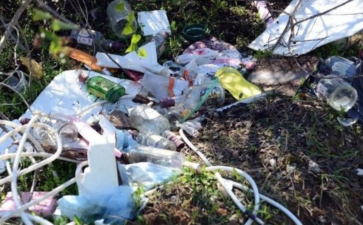 Lara Ormanlık Alanında Tepki &Ccedil;&ouml;ken G&ouml;r&uuml;nt&uuml;ler