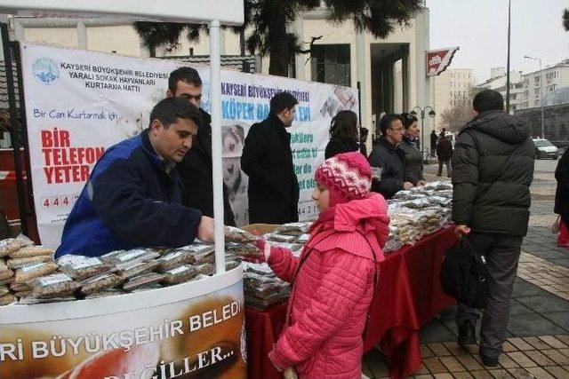 Sokak Hayvanları İçin Mama Dağıtıldı 1