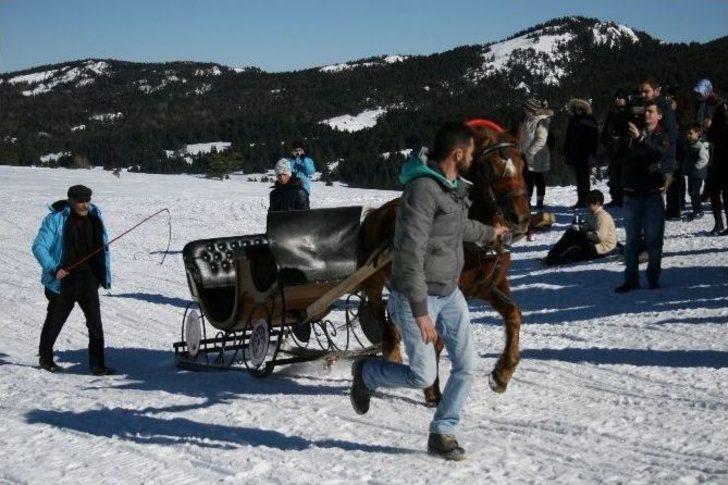 Uludağ’da Atlı Kızak Şampiyonası Nefes Kesti G1