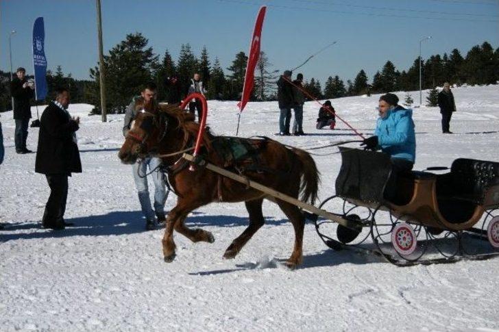 Uludağ’da Atlı Kızak Şampiyonası Nefes Kesti G2