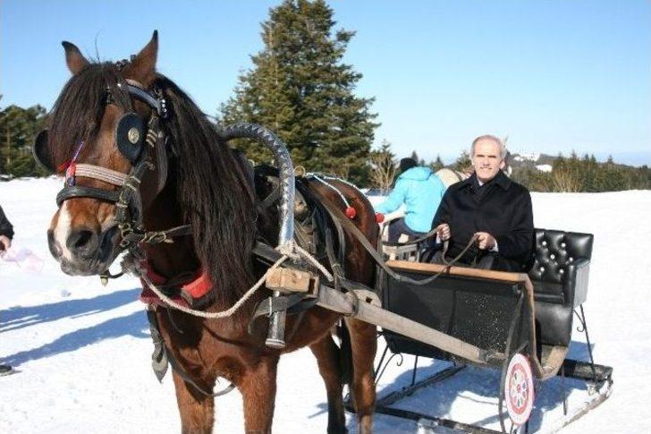 Uludağ’da Atlı Kızak Şampiyonası Nefes Kesti G4